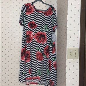 LulaRoe XL Jessie Dress (has pockets)